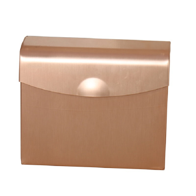 宝优妮厕所纸巾盒洗手间防水卫生纸盒抽纸盒卫生间壁挂式厕纸收纳 DQ9067-1