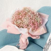 满天星 怀抱温暖 请提前8小时以上订 可当日送达