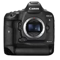 佳能(Canon) EOS 1DX2(单机身不含镜头)数码 单反 相机 约2020万像素