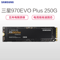 三星(SAMSUNG)970EVO PLUS 250GB PCIe NVMe协议M.2接口内置固态硬盘MZ-V7S250