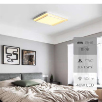 陇步昇1920/中方哑白灯具