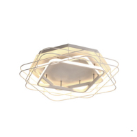 陇步昇SG-1831哑白灯具