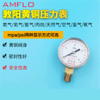 敦阳黄铜压力表1/4NPT接口减压阀配套 AMFLO0-0.6mpa