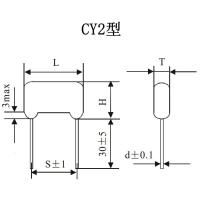 云母电容器 CY-2 100V 300pF (50个)