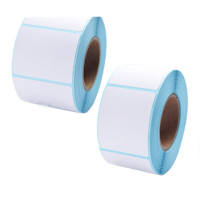 扶华(FH)300mmX200mm 标签胶贴(计价单位:盒)