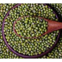 绿豆 1斤装 绿豆汤杂粮农家绿豆芽专用绿