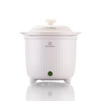 True-love 电炖锅EGS030