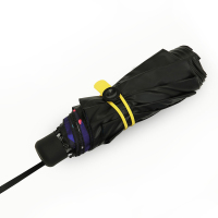 大嘴猴PAUL FRANK雨伞PFU005