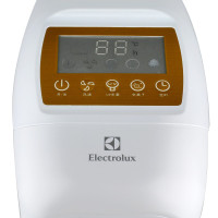 伊莱克斯（Electrolux）EGAC300空气净化器