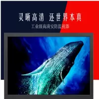 HUACAI 华彩19/32/42/55英寸液晶显示器高清视频BNC监控显示器可选带HD-SDI接口19寸监视器不带底座
