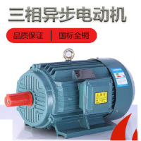 三相异步电动机 11KW 380V 单位:台