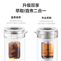 生活元素(LIFE ELEMENT)养生壶 迷你煮茶器 煮茶壶煎药壶电茶壶烧水壶电热水壶养生杯0.6L智能I13-H02