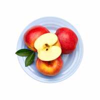 PAGODA A级-红玫瑰苹果(中)4.6-5斤