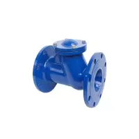 尧字 远大 球形止回阀HQ41X-16Q 球墨铸铁止回阀 法兰 DN100 1个