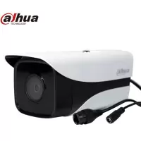 大华(Dahua)摄像头400万网络高清红外监控摄像头 H.265编码 DH-IPC-HFW2433DM-I2 3.6M