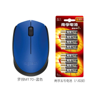 罗技(Logitech)M170台式机电脑笔记本家用商务办公通用便携USB接收器光电时尚办公鼠标蓝色+南孚5号电池八粒装