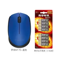 罗技(Logitech)M170台式机电脑笔记本家用商务办公通用便携USB接收器光电时尚办公鼠标蓝色+南孚5号电池八粒装