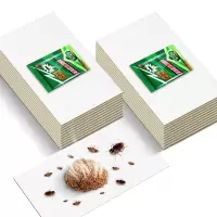 绿叶(Green Leaf)蟑螂粘板灭蟑杀蟑粘板除蟑螂纸20片装GL2118-1
