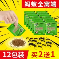 绿叶（Green Leaf）粘蝇达人苍蝇粘板胶粘除蝇子蟑螂板50片装