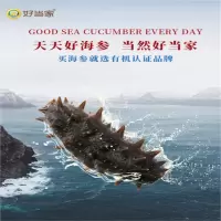 名物 好当家海韵淡干海参200g 有机淡干海参60-80个 干货海鲜礼盒 单盒价
