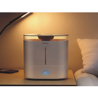 大宇 (DAEWOO)加湿器