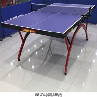 吉诺尔乒乓球桌 室内标准移动乒乓球台 大小彩虹乒乓球案子