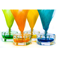 她漾(TA YANG) 60ml叶脉花香薰精油香薰套装 KM-02 紫色/薰衣草