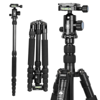 思锐 三脚架 E1005A+G12 含云台佳能尼康便携旅行单反相机