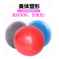 艾瑞迪瑜伽球ZT-009