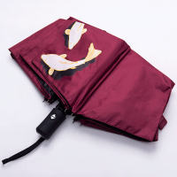 变色锦鲤晴雨伞