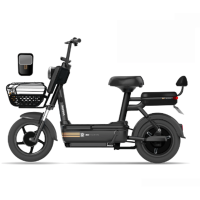 新日48伏20安时大航程高配置国标电动自行车