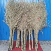 KBS竹子大扫把环卫工厂物业清洁扫把笤帚扫帚竹扫把 大竹扫把（一把）