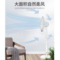 格力机械落地扇摇头电扇定时五叶扇 FD-40X52