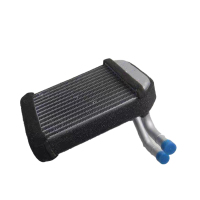 TRW 猎豹Q6暖风水箱后