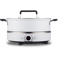 华帝电磁炉套装DC-QS22L