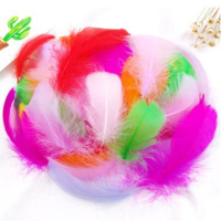 幼儿园手工彩色羽毛diy装饰饰品 约50根/包 8包装