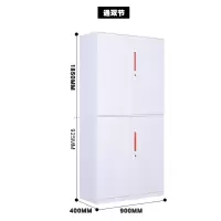 [田珍] 文件柜储物柜