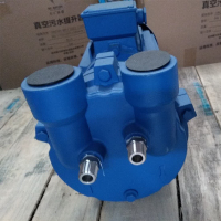 杭州聚川 无堵塞转子泵 WZB50