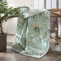 企乐丰 定制水洗夏凉被 2000*2300mm