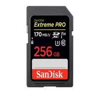 闪迪 (SanDisk) 存储卡 SD256G/170M 相机SD高速存储卡 高速连拍 读取170MB/S