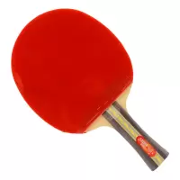 红双喜套装(拍子+球)