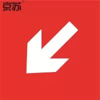 京苏 BS0723 灭火设备或报警装置的方向 向左下250*250 自粘性乙烯 单个装(包装数量 1个)