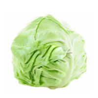 新鲜瓜果蔬菜2 生鲜满99元配送