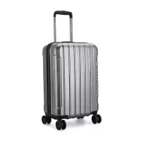 外交官 拉杆箱 DS-1293B 箱体20寸(含轮22寸)37*24*56cm (银色)