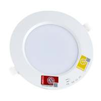 应急筒灯4寸（开孔125mm)