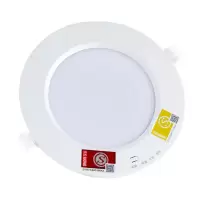 应急筒灯4寸（开孔125mm)