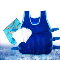 信志连成(XINZHILIANCHENG)夏季夏天新品冰马甲降温马甲背心男士隔热服防暑降温室外制冷衣高温工作服避暑神器带