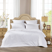 罗莱家纺提花蚕丝被冬季保暖棉被蚕丝被夏凉被夏季空调被子被芯 W舒柔提花蚕丝春秋被 1.8m床(220x250cm)