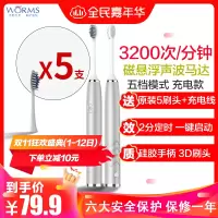 worms电动牙刷成人情侣款声波美白全自动硅胶防水软毛刷 太空灰 五档位豪华充电款配(原装5刷头+USB充电线)