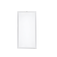 CL 厨卫灯直下式尺寸 300*600mm 32W 家用雾银色节能厨卫灯